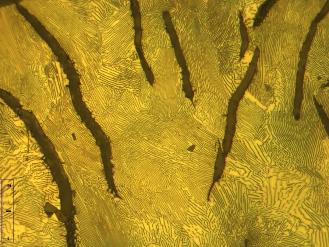 Metallography Output 7